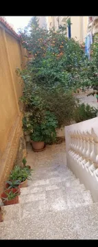 Vente Villa Alger Hammamet 9