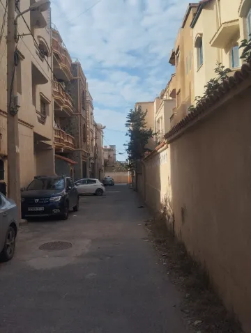 Vente Villa Alger Hammamet 16
