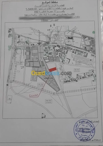 Vente Terrain Saïda Saida