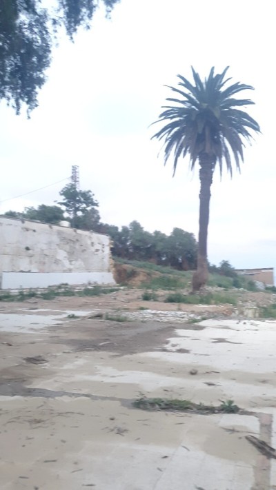 Sell Land Alger Bouzareah