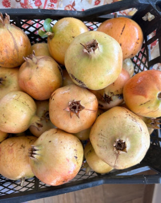 fruits-secs-رمان-للبيع-sig-mascara-algerie