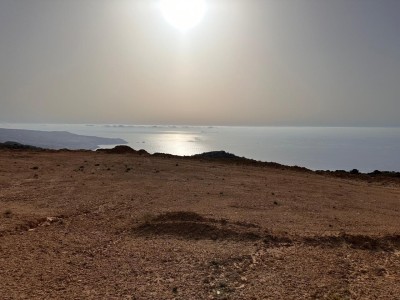 Sell Farmland Oran Ain el kerma