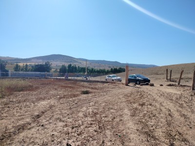 Sell Farmland Oran El ançor