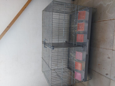 accessoire-pour-animaux-cage-pedros-oran-algerie