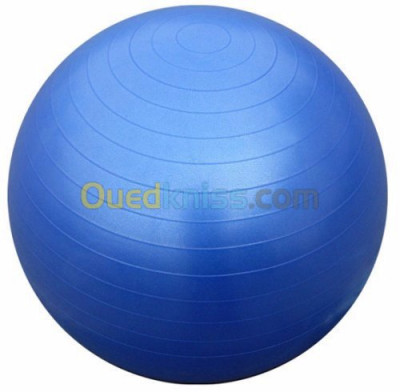 Gym Ball / ballon suisse