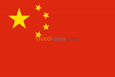 VISA CHINE      فيزا الصين