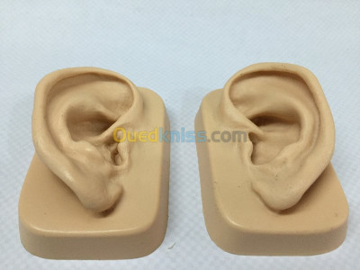 Modèle d'oreille réaliste en silicone