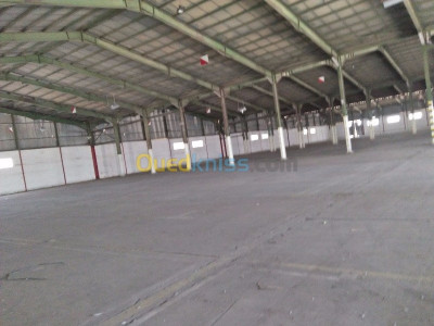 blida-beni-tamou-algerie-hangar-location