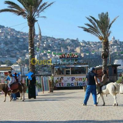 alger-bab-el-oued-algerie-evènements-divertissement-dès-balade-à-dos-de-poney-des-photos