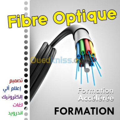 ecoles-formations-formation-fibre-optique-alger-centre-algerie