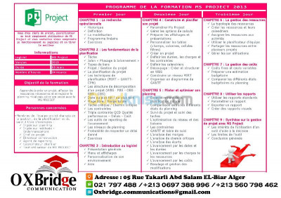 formation MS-PROJECT 2013