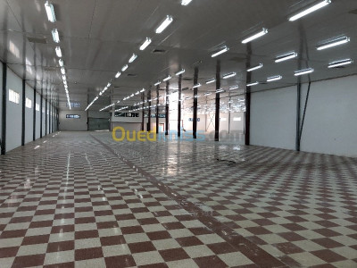 Rent Hangar Algiers Dar el beida