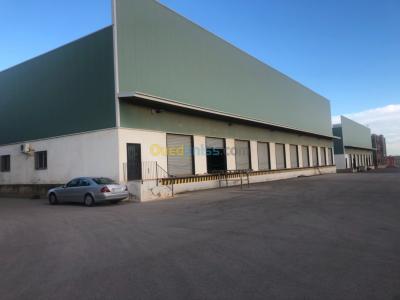 Rent Hangar Algiers Birtouta