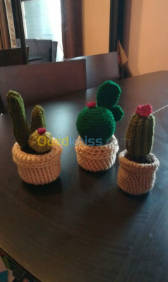 الجزائر-بن-عكنون-حياكة-و-خياطة-cactus-en-crochet