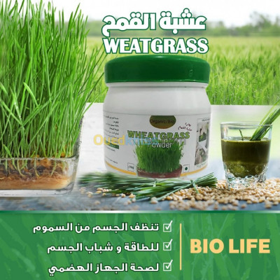 Wheat grass ...عشبة القمح المعجزة 