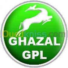 باتنة-عين-ياقوت-الجزائر-إصلاح-سيارات-و-تشخيص-installation-et-réparation-kit-gpl