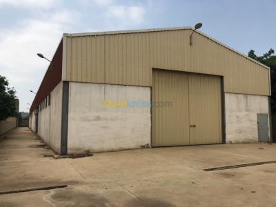 Rent Hangar Algiers Oued smar