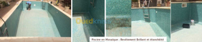 بناء-و-أشغال-piscine-en-mosaique-etancheite-exterieur-بوفاريك-البليدة-الجزائر