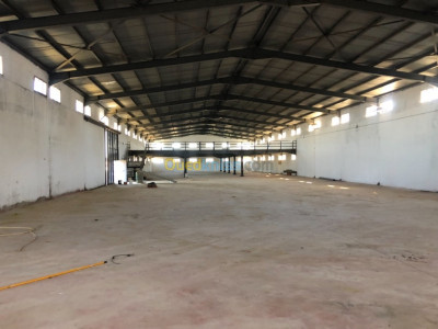 Location Hangar Alger Zeralda