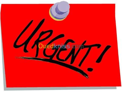 Rental search Villa Algiers Hydra