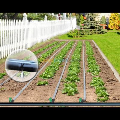 tlemcen-mansourah-algeria-cleaning-gardening-l-irrigation-goutte-a-jardinage