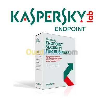 applications-logiciels-antivirus-endpoint-kaspersky-bologhine-kouba-alger-algerie