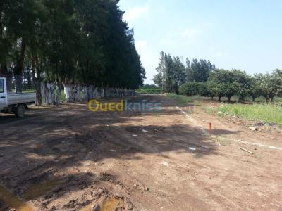 Sell Land Algiers Ouled chebel