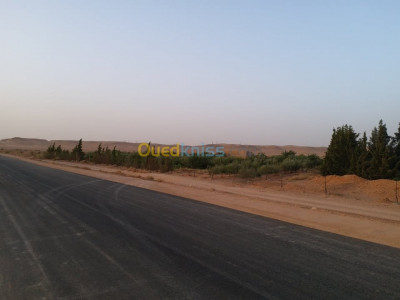 ghardaia-algeria-farmland-sell