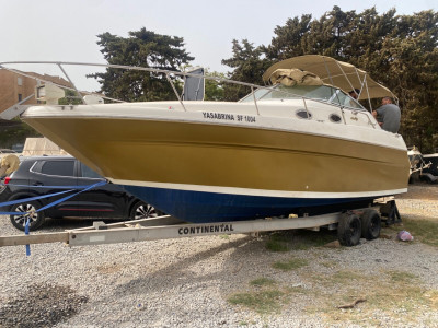 bateaux-rigide-bateau-sea-ray-9m-staoueli-alger-algerie