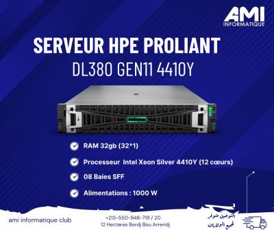  SERVEUR HPE PROLIANT DL380 G11 4410Y
