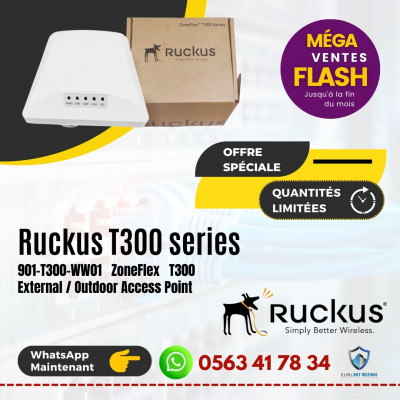 point-dacces-wifi-ruckus-t300-series-bordj-el-kiffan-alger-algerie