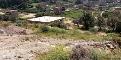 terrain-vente-boumerdes-boudouaou-algerie