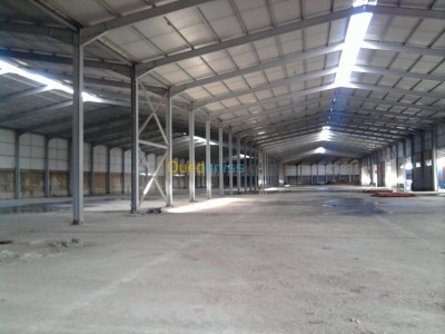 Rent Hangar Algiers Birtouta
