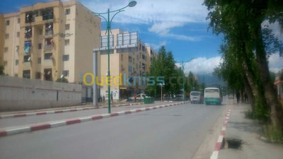 bouira-mchedallah-algerie-appartement-vente-f2