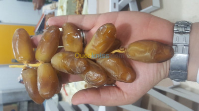 biskra-tolga-algeria-alimentary-دقلة-نور-طولقة