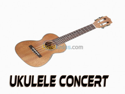 Ukulele concert