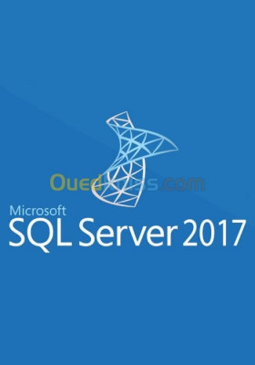 MS SQL Server 2017 Standard Unlimited