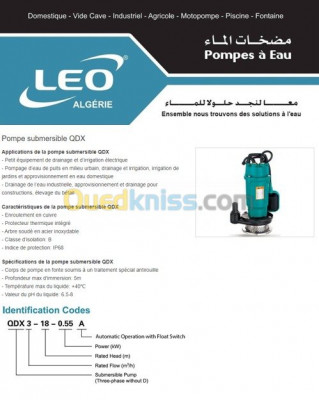 Pompe submersible QDX - LEO