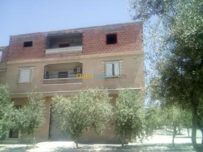 batna-ain-touta-algerie-autre-vente-bien-immobilier