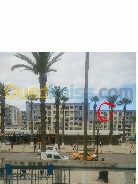 skikda-algerie-appartement-vente-f4