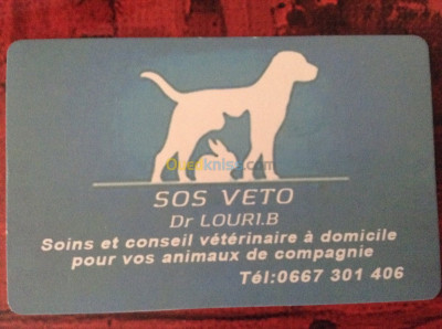 medecine-sante-soins-veterinaire-a-domicile-ain-naadja-alger-algerie