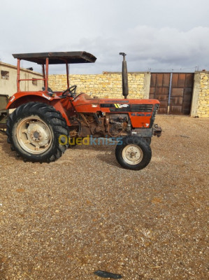 tiaret-algerie-tracteurs-torbidou-1992