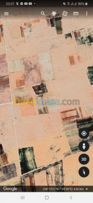 el-oued-beni-guecha-algerie-terrain-agricole-vente