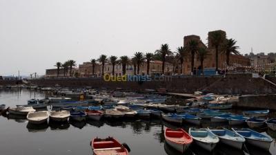 الطارف-القالة-الجزائر-شقة-byaa-shk-3-ghrf-altarf-alkal