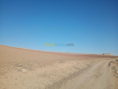 setif-bir-el-arch-algerie-terrain-agricole-vente