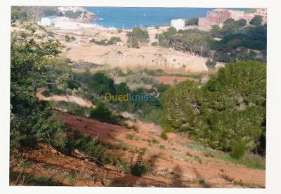 tlemcen-honaine-algeria-land-sell