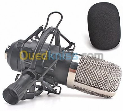 blida-bougara-algeria-headset-microphone-ميكروفون-كوندينسر-استيديو