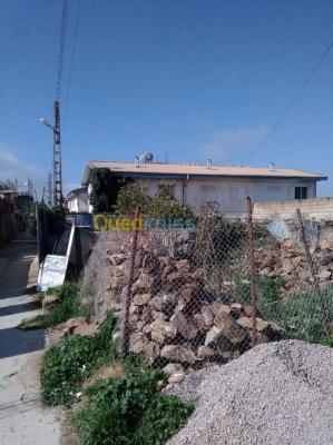 chlef-taougrite-algeria-land-sell