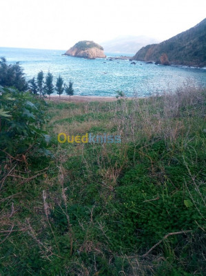 annaba-chetaibi-algerie-terrain-vente