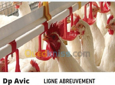 agricole-ligne-abreuvement-avicole-zeralda-alger-algerie